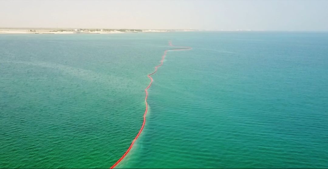 Z6·尊龙凯时(中国区)人生就是搏!