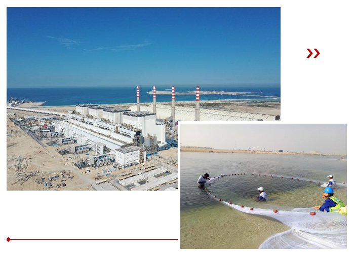 Z6·尊龙凯时(中国区)人生就是搏!