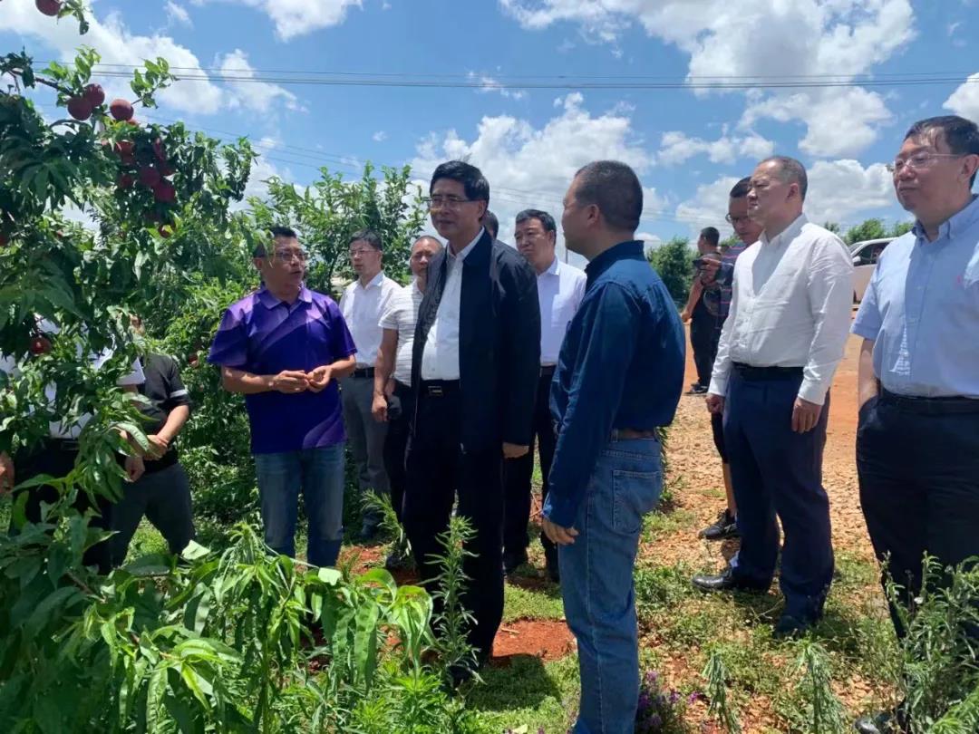 Z6·尊龙凯时(中国区)人生就是搏!